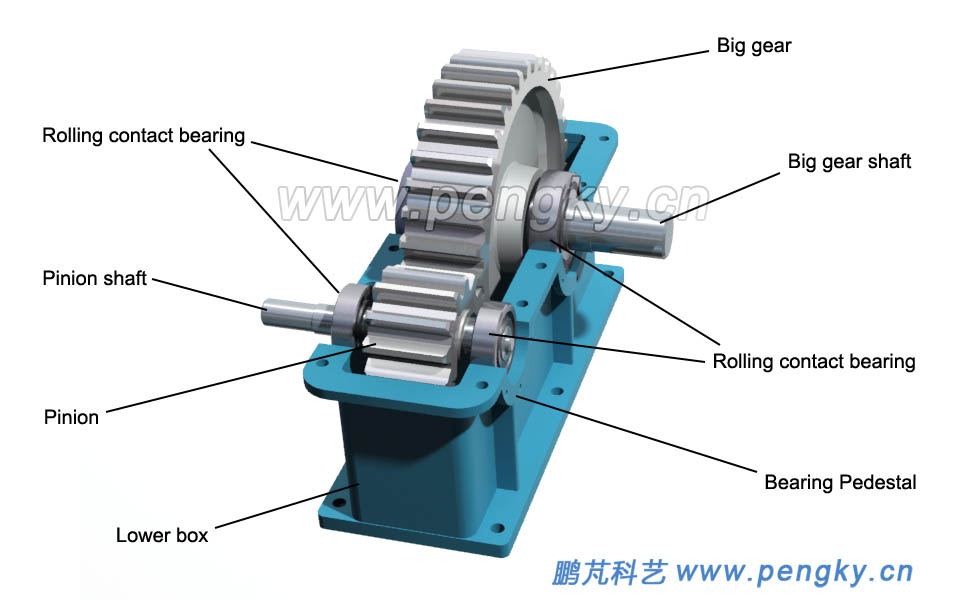 Primary cylindrical speed reducing gear box