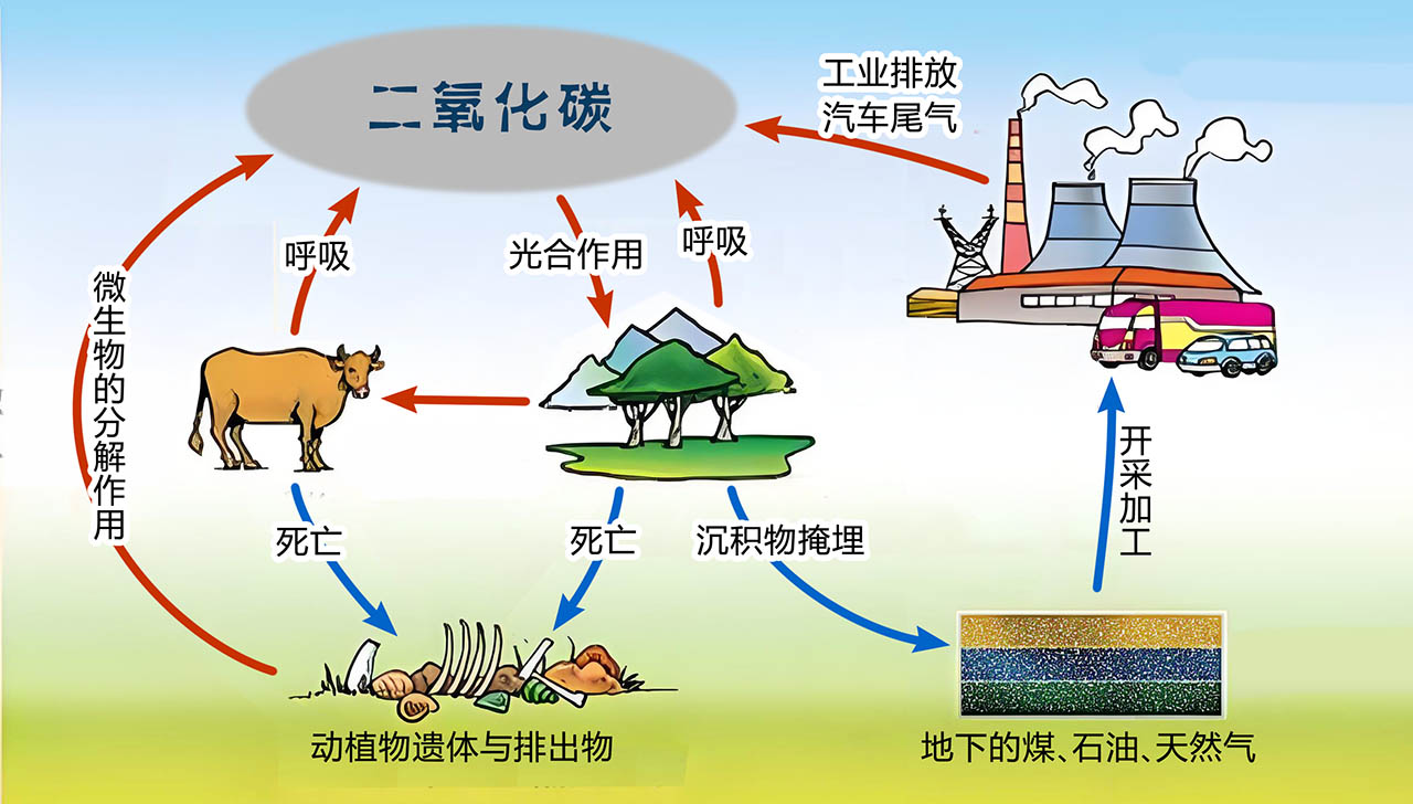 碳循环示意图