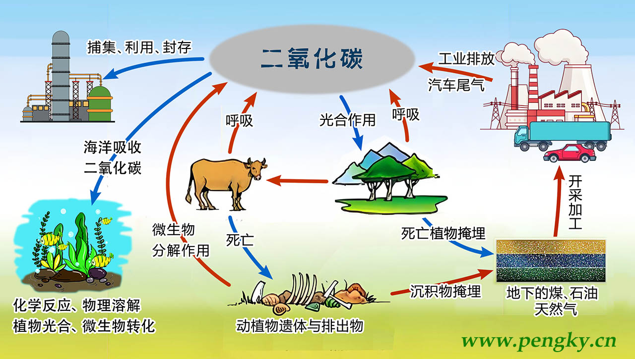 工业革命后碳循环示意图