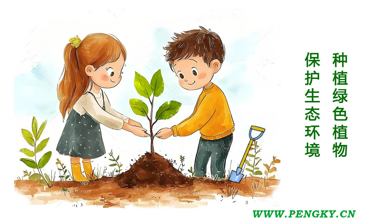 种植绿色植物 种植绿色植物