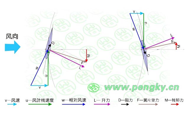 叶片在向风侧与背风侧的受力状况