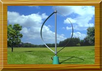 Darrieus type wind turbine