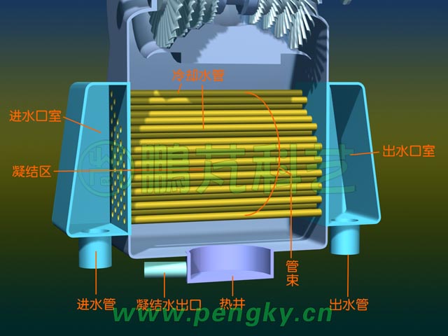 凝汽器的内部结构图片