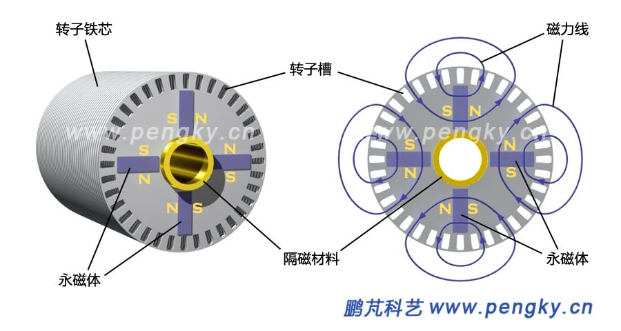 笼型绕组的永磁转子磁通