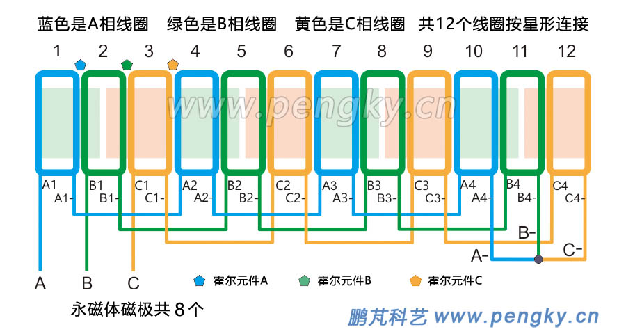 12槽8极分数槽集中绕组永磁电机展开图